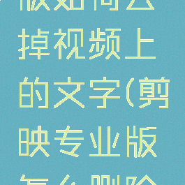 剪映专业版如何去掉视频上的文字(剪映专业版怎么删除字幕)