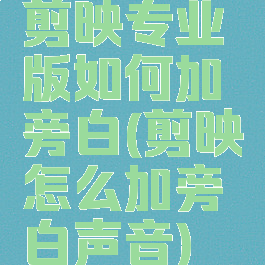 剪映专业版如何加旁白(剪映怎么加旁白声音)