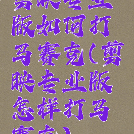 剪映专业版如何打马赛克(剪映专业版怎样打马赛克)