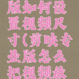 剪映专业版如何设置视频尺寸(剪映专业版怎么把视频放大)