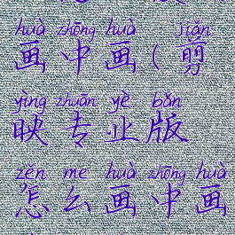 剪映专业版怎么使用画中画(剪映专业版怎么画中画在文字上方)