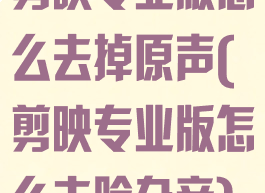 剪映专业版怎么去掉原声(剪映专业版怎么去除杂音)