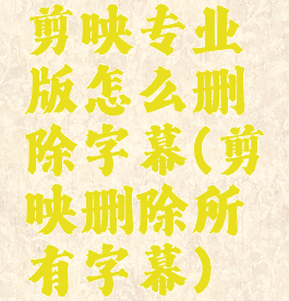 剪映专业版怎么删除字幕(剪映删除所有字幕)