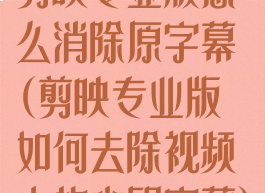 剪映专业版怎么消除原字幕(剪映专业版如何去除视频中的水印字幕)