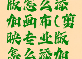 剪映专业版怎么添加画布(剪映专业版怎么添加画布背景)