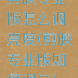 剪映专业版怎么调亮度(剪映专业版如何调色)