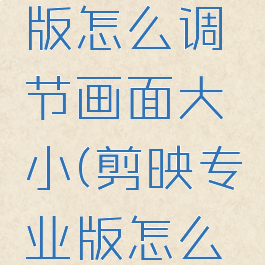 剪映专业版怎么调节画面大小(剪映专业版怎么调节比例)