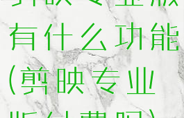 剪映专业版有什么功能(剪映专业版付费吗)