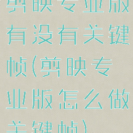 剪映专业版有没有关键帧(剪映专业版怎么做关键帧)