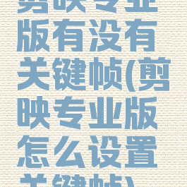 剪映专业版有没有关键帧(剪映专业版怎么设置关键帧)