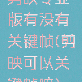 剪映专业版有没有关键帧(剪映可以关键帧嘛)