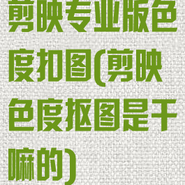 剪映专业版色度扣图(剪映色度抠图是干嘛的)