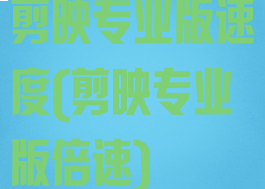 剪映专业版速度(剪映专业版倍速)