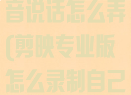 剪映专业版配音说话怎么弄(剪映专业版怎么录制自己的声音)