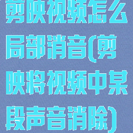 剪映视频怎么局部消音(剪映将视频中某段声音消除)
