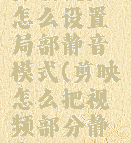 剪映视频怎么设置局部静音模式(剪映怎么把视频部分静音)