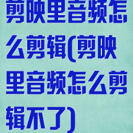 剪映里音频怎么剪辑(剪映里音频怎么剪辑不了)