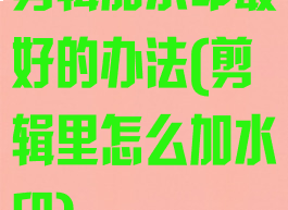 剪辑加水印最好的办法(剪辑里怎么加水印)