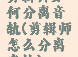 剪辑师如何分离音轨(剪辑师怎么分离音轨)