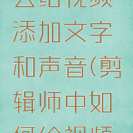 剪辑师怎么给视频添加文字和声音(剪辑师中如何给视频加字幕)