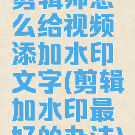 剪辑师怎么给视频添加水印文字(剪辑加水印最好的办法)