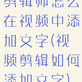 剪辑师怎么在视频中添加文字(视频剪辑如何添加文字)