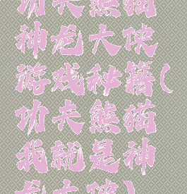 功夫熊猫神龙大侠游戏秘籍(功夫熊猫我就是神龙大侠)