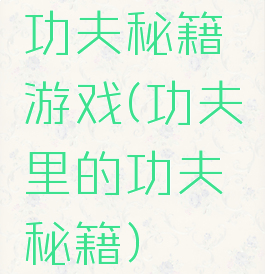 功夫秘籍游戏(功夫里的功夫秘籍)