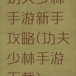 功夫少林手游新手攻略(功夫少林手游下载)