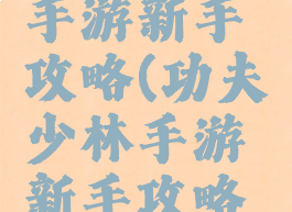 功夫少林手游新手攻略(功夫少林手游新手攻略视频)