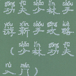 功夫少林手游新手攻略(少林功夫入门)