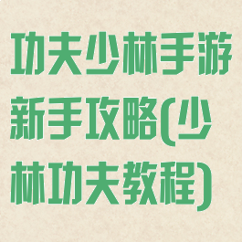 功夫少林手游新手攻略(少林功夫教程)