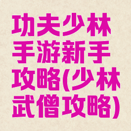 功夫少林手游新手攻略(少林武僧攻略)