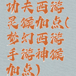 功夫西游灵猴加点(梦幻西游手游神猴加点)