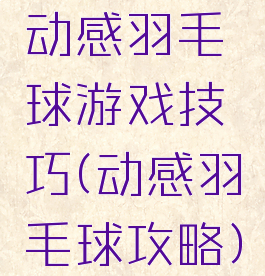 动感羽毛球游戏技巧(动感羽毛球攻略)