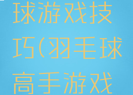 动感羽毛球游戏技巧(羽毛球高手游戏技巧)