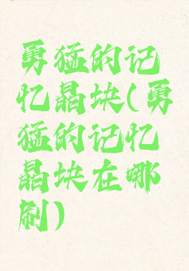 勇猛的记忆晶块(勇猛的记忆晶块在哪刷)