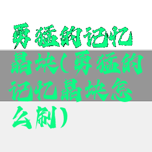 勇猛的记忆晶块(勇猛的记忆晶块怎么刷)