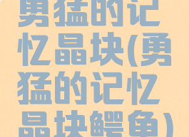 勇猛的记忆晶块(勇猛的记忆晶块鳄龟)