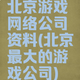 北京游戏网络公司资料(北京最大的游戏公司)