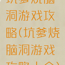 坑爹烧脑洞游戏攻略(坑爹烧脑洞游戏攻略大全)