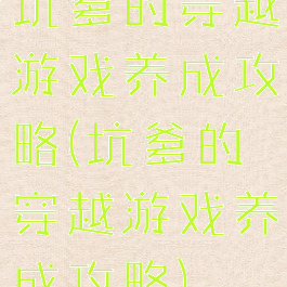 坑爹的穿越游戏养成攻略(坑爹的穿越游戏养成攻略)