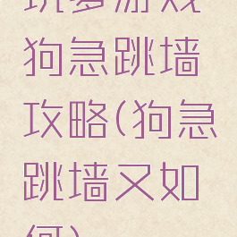 坑爹游戏狗急跳墙攻略(狗急跳墙又如何)