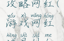 坑爹游戏攻略网红(游戏网红坑是什么意思)