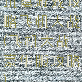 坑爹游戏攻略飞机大战(飞机大战豪华版攻略)