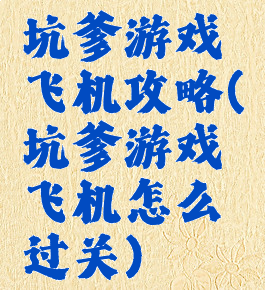 坑爹游戏飞机攻略(坑爹游戏飞机怎么过关)