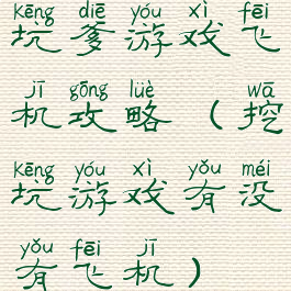 坑爹游戏飞机攻略(挖坑游戏有没有飞机)