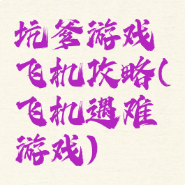 坑爹游戏飞机攻略(飞机遇难游戏)