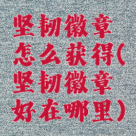 坚韧徽章怎么获得(坚韧徽章好在哪里)