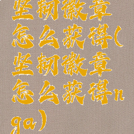 坚韧徽章怎么获得(坚韧徽章怎么获得nga)